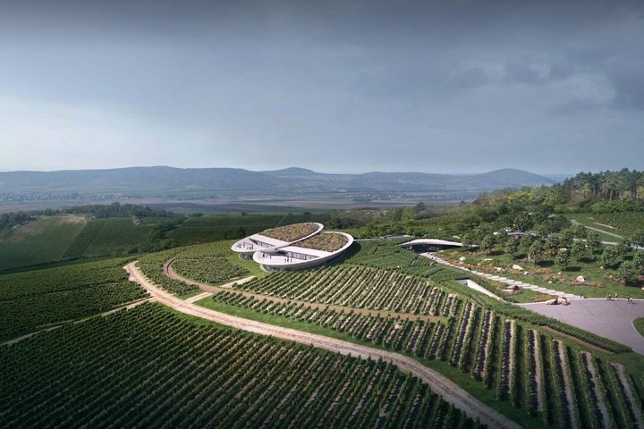 Aszú Like It: The Sweetest Tour in Tokaj