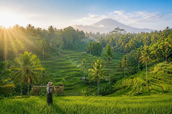 Discover The Best of Ubud: All-Inclusive and Private Guided Tour