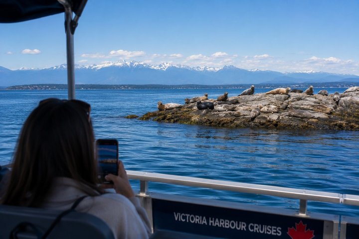 NEW Victoria Harbour 75 min Boat Tour with Tour Guide