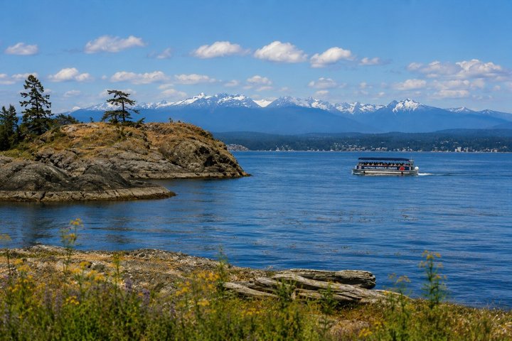 NEW Victoria Harbour 75 min Boat Tour with Tour Guide