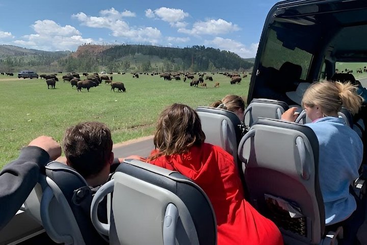 Private Ultimate Open-Top Bison Safari in Custer State Park