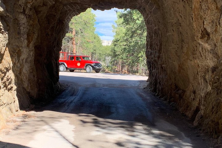 Private Ultimate Open-Top Bison Safari in Custer State Park