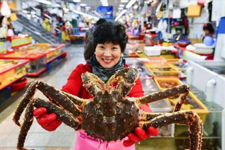 Busan Cruise Port – Premium Small Group Tour (Max 6 Guests)