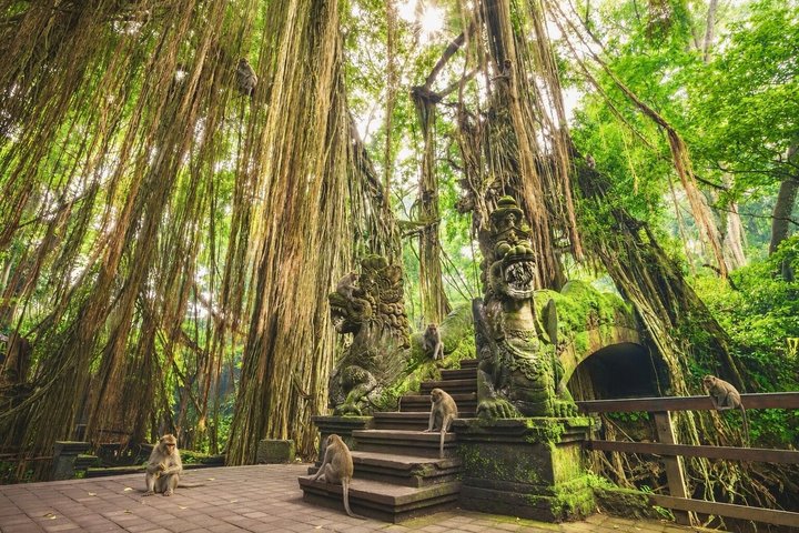 Discover The Best of Ubud: All-Inclusive and Private Guided Tour