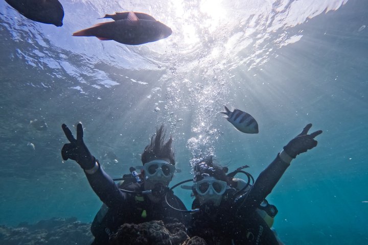Blue Cave Okinawa Scuba Diving for Beginners