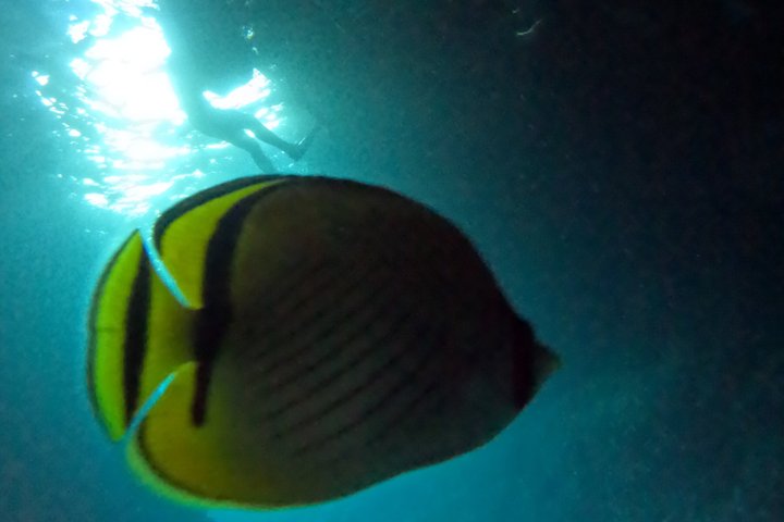 Blue Cave Okinawa Scuba Diving for Beginners