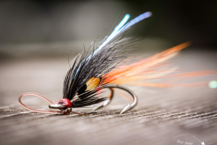 Salmon Fishing in Scotland