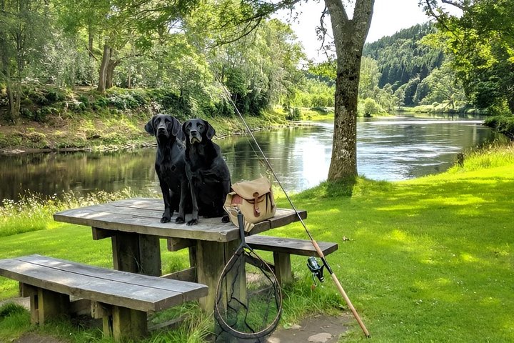 Salmon Fishing in Scotland