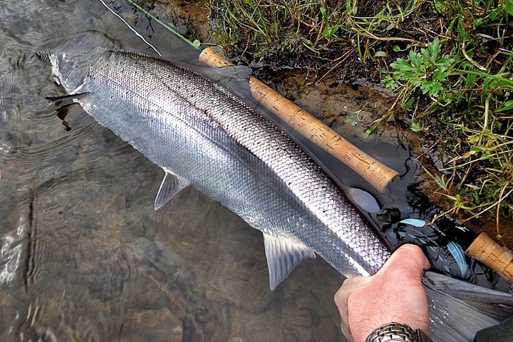 Salmon Fishing in Scotland