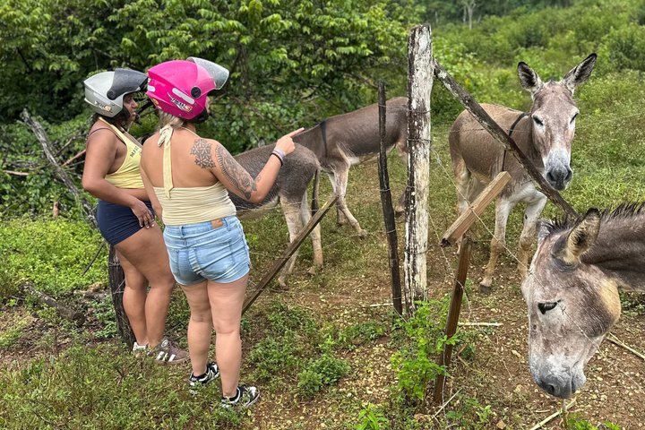 ATV Jungle Safari Tour from Montego Bay