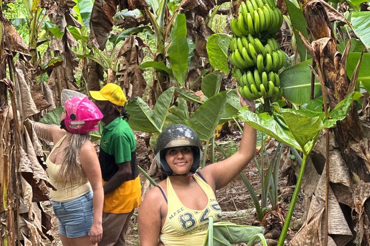 ATV Jungle Safari Tour from Montego Bay