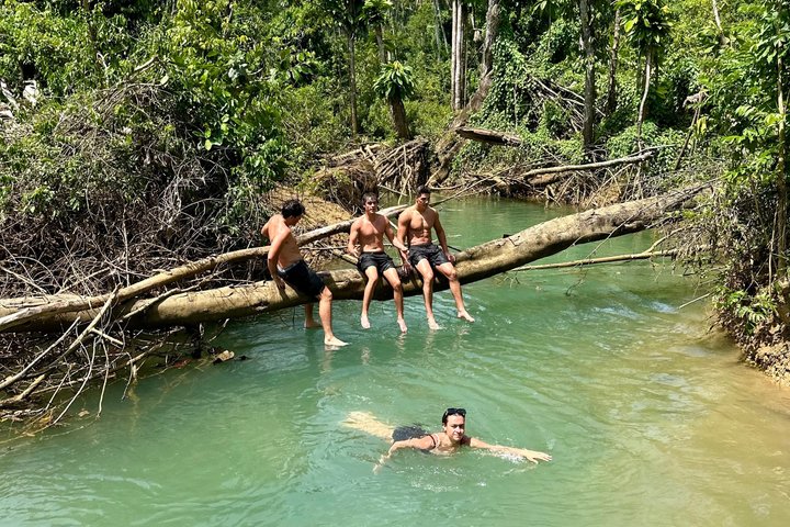 ATV Jungle Safari Tour from Montego Bay