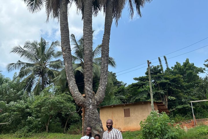 Waterfalls, Aburi Botanical Gardens & a Cocoa Farm Experience.