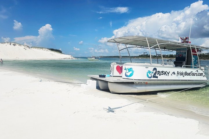 Pensacola Beach Dolphin Cruise + Beach Stop + Reef Snorkeling