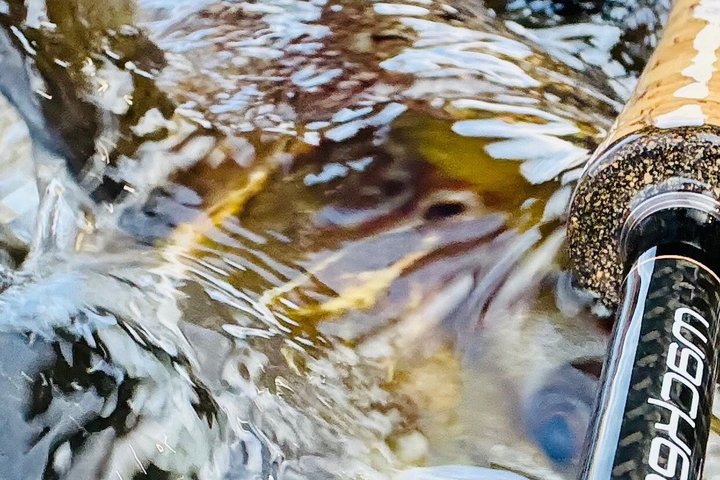 Salmon Fishing in Scotland