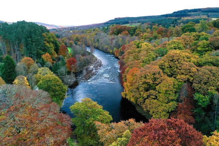 Salmon Fishing in Scotland