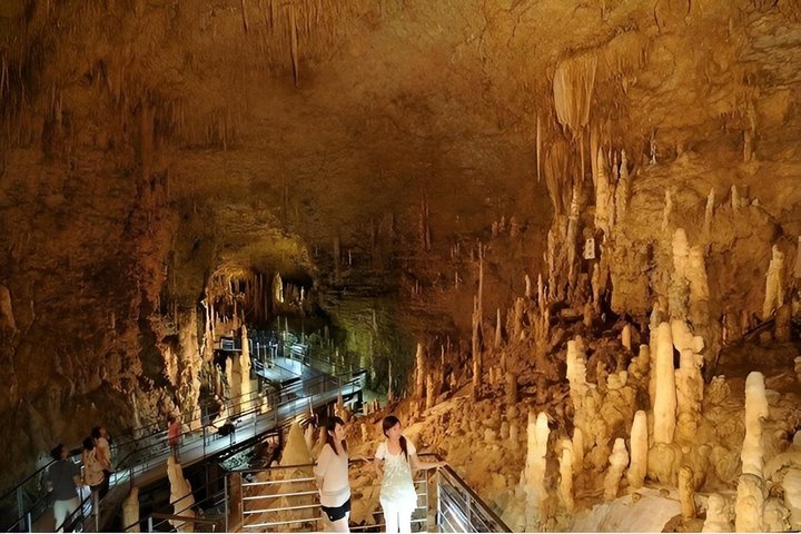 Okinawa World Gyokusendo Cave and Kingdom Village Ticket