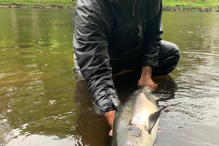 Salmon Fishing in Scotland