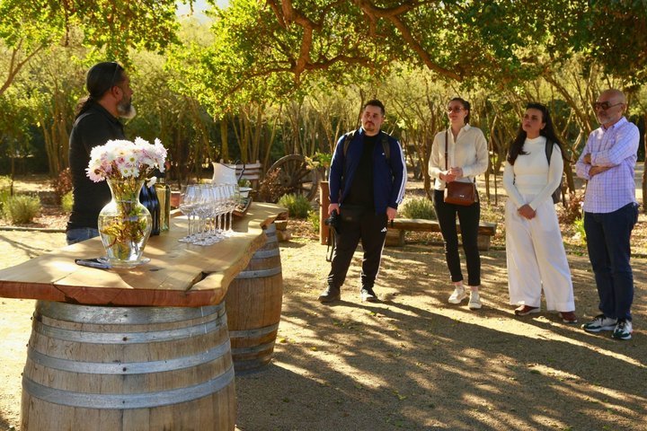 4 Exclusive & boutique wineries in Casablanca - Tanino Restaurant