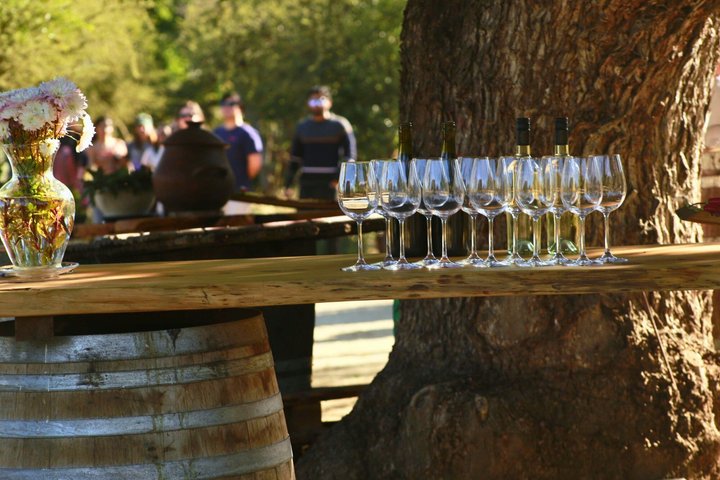 4 Exclusive & boutique wineries in Casablanca - Tanino Restaurant