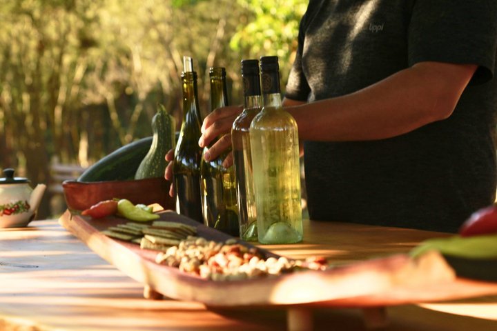 4 Exclusive & boutique wineries in Casablanca - Tanino Restaurant