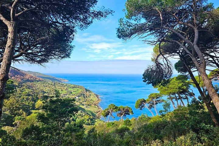 Cape Spartel & Hercules Caves 5-Hour Tour with Camel Ride