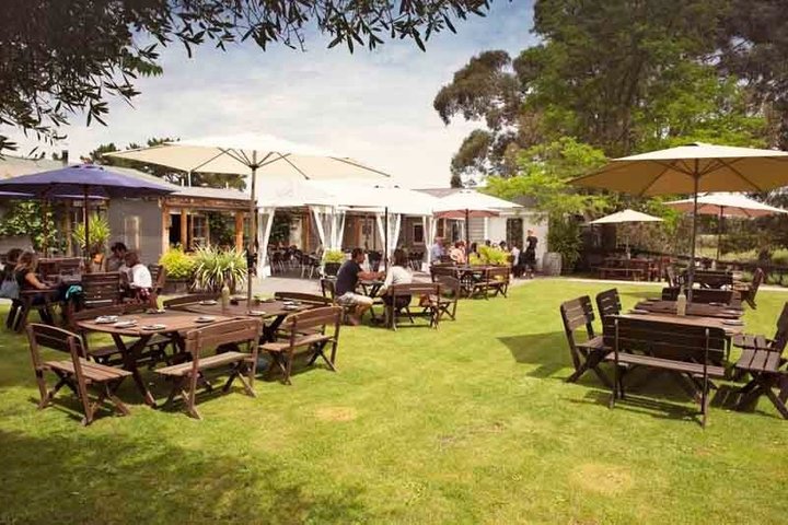 Waipara Wine Tour from Christchurch - including Lunch & Tastings
