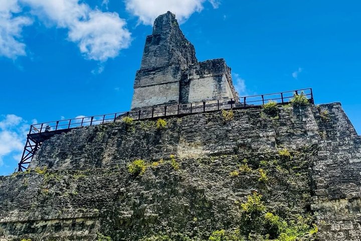 Tikal Day Trip with Local Lunch from San Ignacio