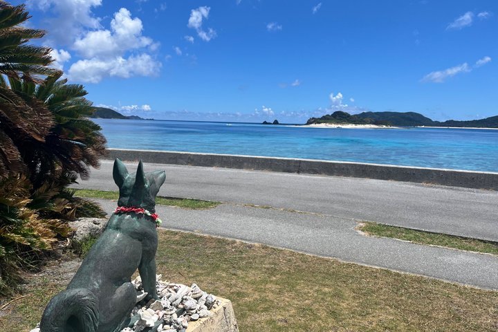 Kerama Blue & Zamami Island Tour with Guide & Driver(1-9 guests)