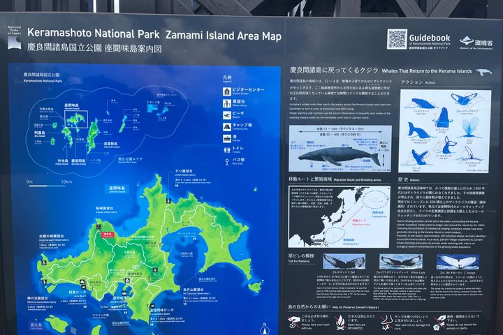 Kerama Blue & Zamami Island Tour with Guide & Driver(1-9 guests)