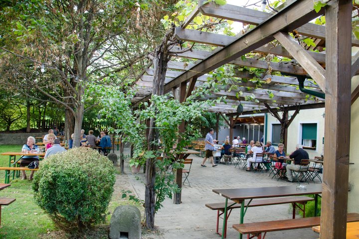 Countryside Half Day Wine Tour near Vienna with meal & transfer