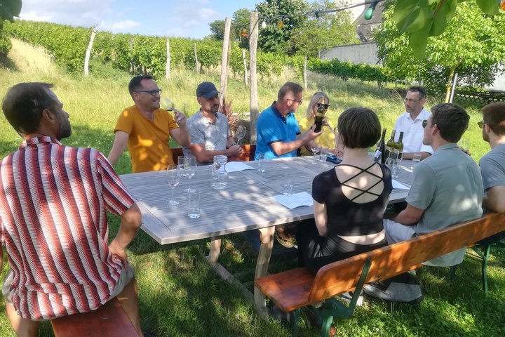 Countryside Half Day Wine Tour near Vienna with meal & transfer