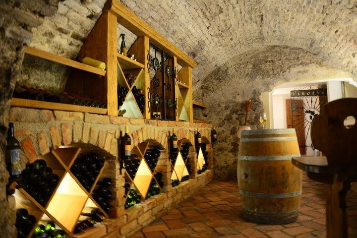 Countryside Half Day Wine Tour near Vienna with meal & transfer