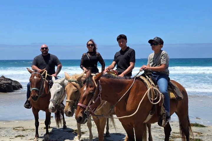 Horseback riding on the beach Rosarito + Transportation