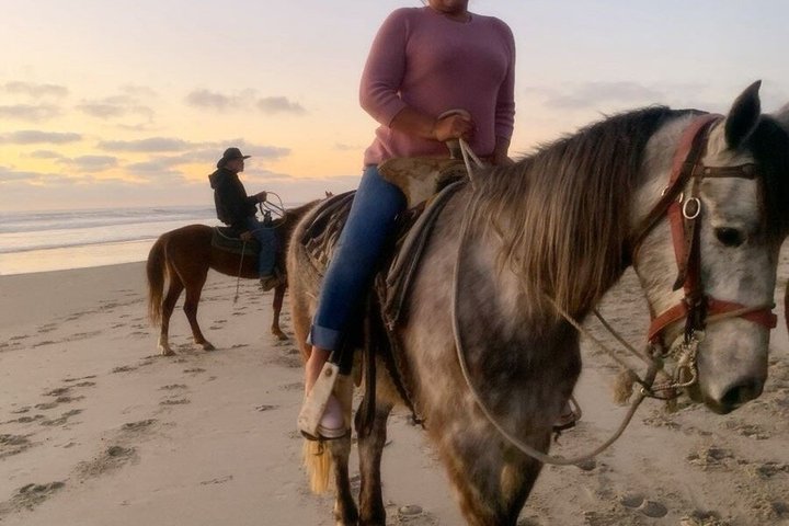 Horseback riding on the beach Rosarito + Transportation