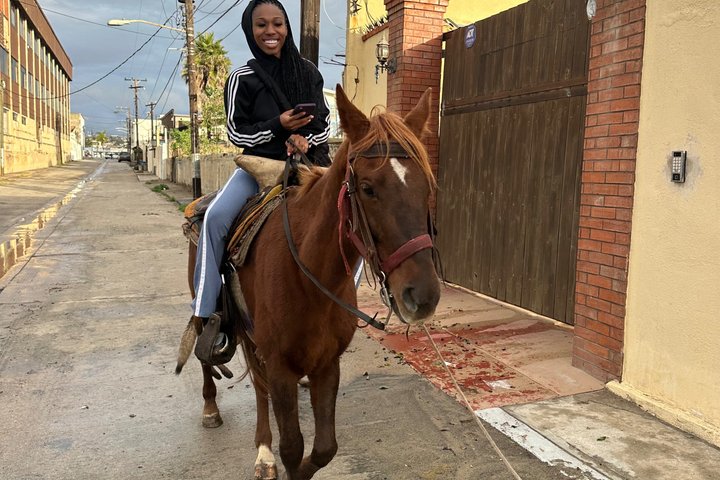 Horseback riding on the beach Rosarito + Transportation