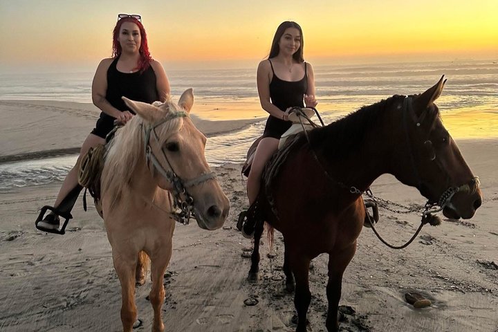 Horseback riding on the beach Rosarito + Transportation