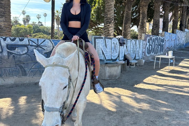 Horseback riding on the beach Rosarito + Transportation