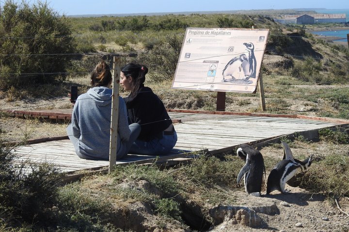 The Best of Peninsula Valdés in one day