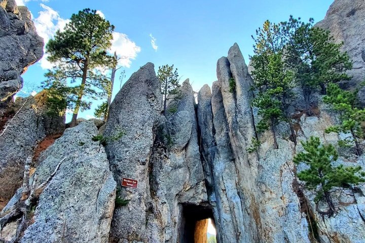 Private Ultimate Open-Top Bison Safari in Custer State Park