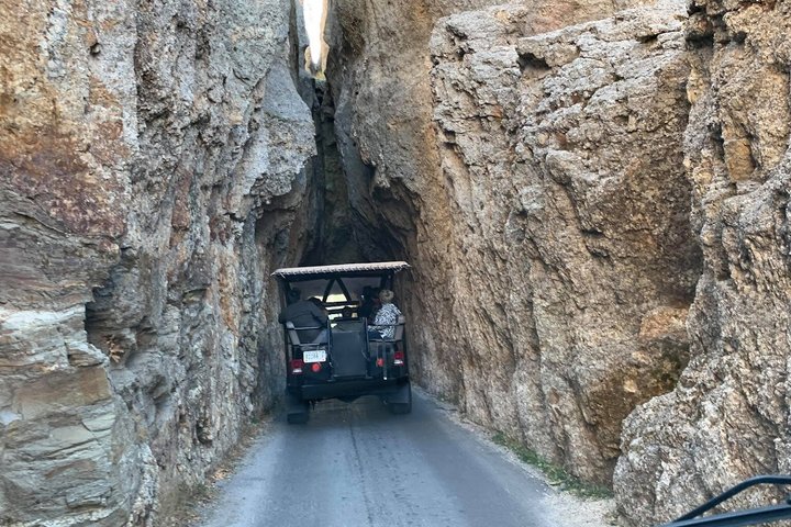 Private Ultimate Open-Top Bison Safari in Custer State Park