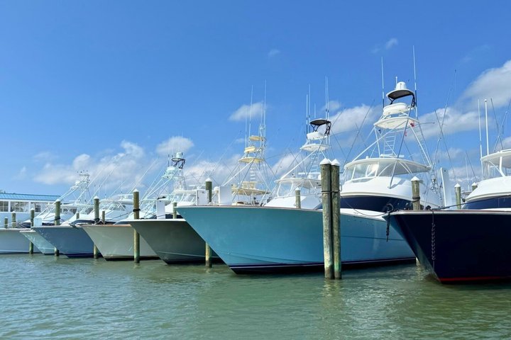 1-Hour Private Party Assateague Island Pony Cruise in Ocean City