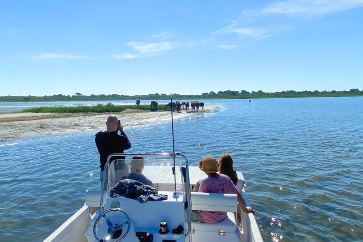 1-Hour Private Party Assateague Island Pony Cruise in Ocean City