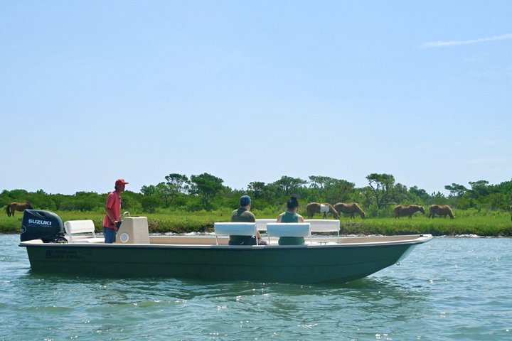 1-Hour Private Party Assateague Island Pony Cruise in Ocean City