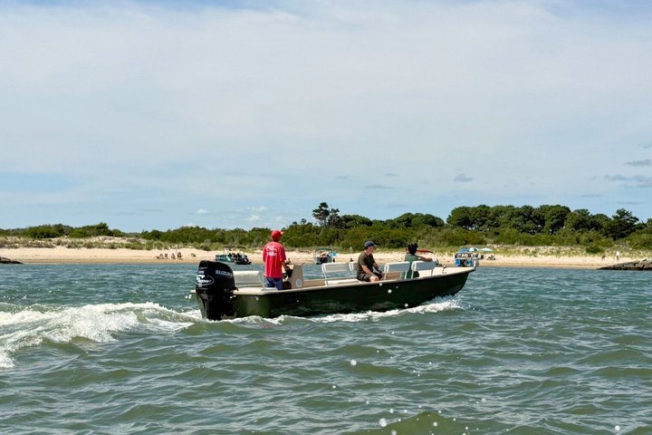 1-Hour Private Party Assateague Island Pony Cruise in Ocean City