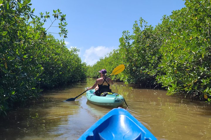 Kalipuna Island Kayak Rental and Nature Experience in Hopkins
