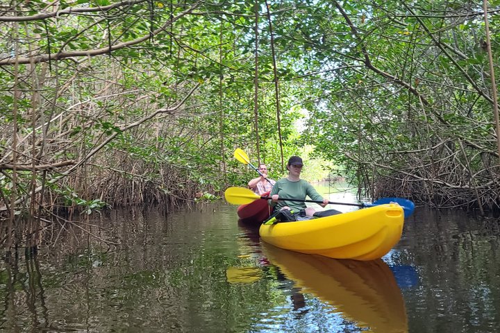 Kalipuna Island Kayak Rental and Nature Experience in Hopkins