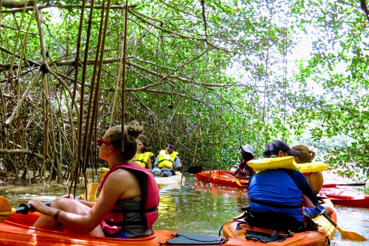 Kalipuna Island Kayak Rental and Nature Experience in Hopkins