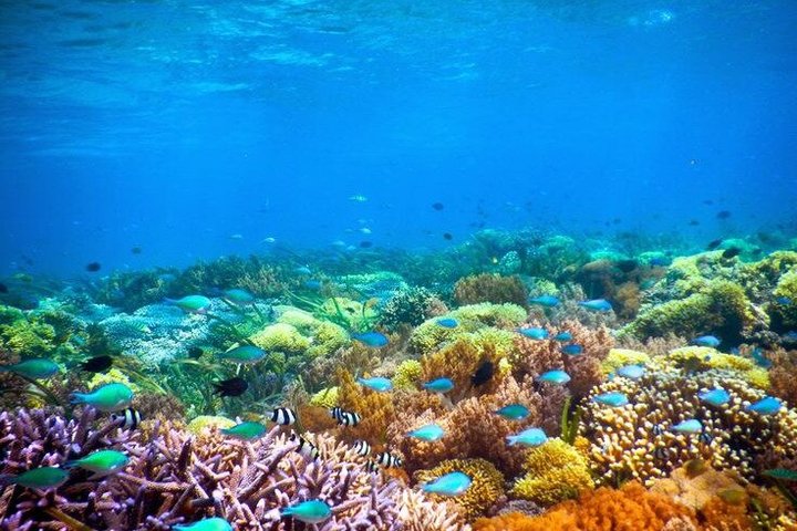 Private Snorkeling Tour – Gili Kondo, Gili Bidara & Gili Kapal