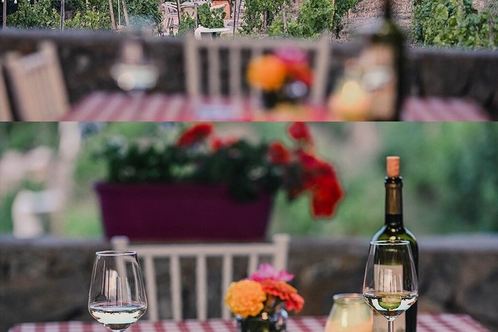 S&S Winery - Wine Tasting Experience in Ohrid